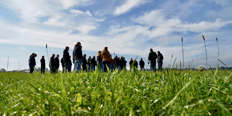 Entfernte Froischperspektive auf eine Gruppe von Menschen, die bei Sonnenschein auf einer Wiese stehen.